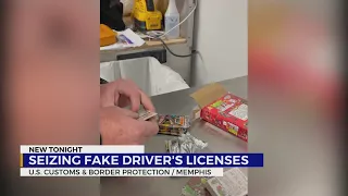 Seizing fake driver s licenses