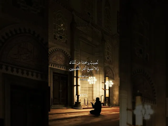 ⁣بسم الله الرحمن الرحيم 🌾 سورة_يوسف #قرآن #تلاوة