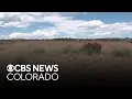 Some residents raise concerns for proposed Walmart in growing Northern Colorado town