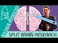 Split Brain Research - Biological Psychology
