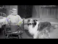 Lassie A Christmas Story Christmas Special Christmas Movie For Kids