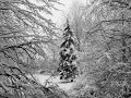 Jacksoul - Can't Wait till Christmas