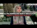Download Lagu DJ PUJANINGSIH REMIX DJ TEBANG VIRAL TIKTOK TERBARU 2024