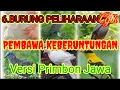 Download Lagu 6. Keberuntungan jika pelihara Jenis Burung ini..