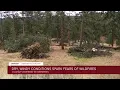 Cleanup underway in Evergreen following hurricane-force winds