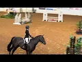 3rd Place THIS Medal First Show on New Horse