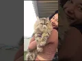 Fanny Ghassani dan kucing kesayangannya 🥰😍#fannyghassani #kucing #shorts