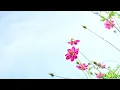 บังเอิญตั้งใจรัก (Ost. 21วันมีฉันมีเธอ) : Bell Warisara