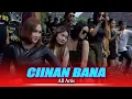 Download Lagu CIINAN BANA - ALL ARTIS || ONE PRO ( Live Anniversary Ke- 7 Pemuda ARBONG SQUAD )