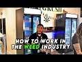 How to get a JOB in CANNABIS Advice from the cannabis community