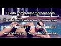 Karaoke Español Flowers Miley Cyrus