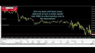 daily trading profits I turned 764 92 USD into 384 001 39 USD