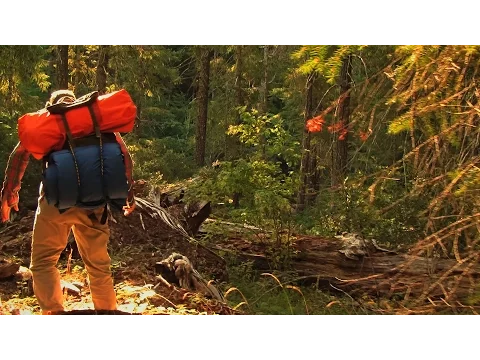 Willow Creek - Official Trailer