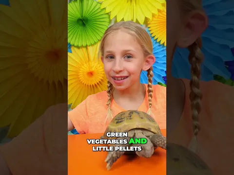 Tortoise to Puppy: Pet Switch Up! Low-Maintenance to High Energy! #shorts