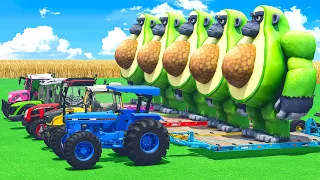 LANDINI vs FENDT vs FORD vs RIGITRAC TRACTORS BATTLE WITH GIANT AVOCADO GORILLA - FS25 🥑