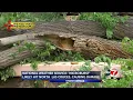 Microburst likely cause of storm damage in north Las Cruces