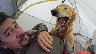 The PERFECT backpacking trip with my dog