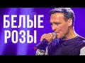 Download Lagu Юрий Шатунов - Белые Розы (Официальный клип, 2019)