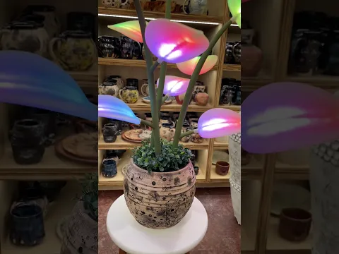 Custom "Moon Planter" I made in my cosmicmugs.com style. Testing a potential collab, flouraplant.com