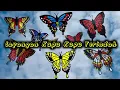 Download Lagu Layangan Kupu Kupu Terindah Bali 2020 | Butterfly kite