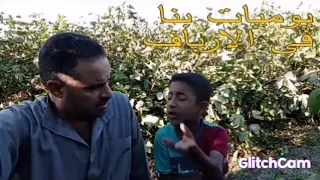 عم احمد مش هروح الجم تاني دندنها