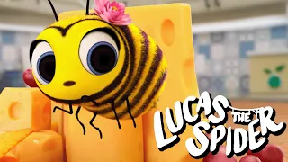 Uh Oh! Maizie's Bee Stinger Is Growing! 🐝 | Kids Cartoon | Lucas the Spider