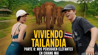 Viviendo Tailandia – Parte 8: Conociendo Elefantes Por Primera Vez, un Santuario Ético en Chiang Mai