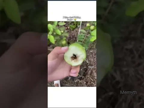 I Was Just Picking Fruit… 😭 #shorts