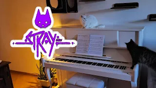 The Way You Compute Tonight Piano Cover 