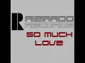 Melvin Reese feat Rachel Hawnt - So much love (Nicky Romero remix)