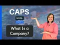 EMS Kelas 8 | Apa itu Perusahaan?