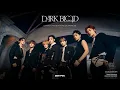 ENHYPEN DARK BLOOD SPECIAL SHOWCASE