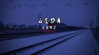 Lida секс Speed Up  Lida секс Speed Up