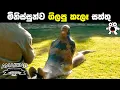 Download Lagu ඇගේ මයිල් කෙලින් වෙන සතුන්ගේ භයානක හැසිරීම් People Who Got Eaten By Wild Animal Abirahas Gaweshanaya