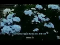 Download Lagu La Maritza-Sylvie Vartan (SLOWED!) (Audio edit by debbiex)