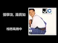張學友, 湯寶如 - 相思風雨中