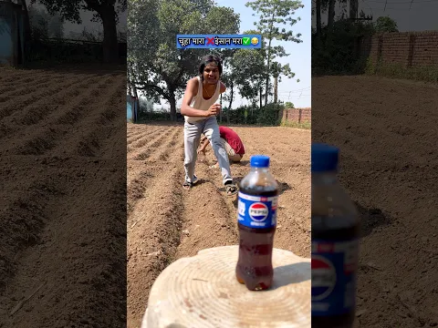 चूहा मारा❌इंसान मरा✅😂:- #funny #funnyvideo #shorts