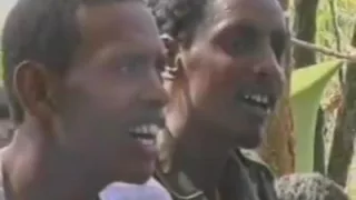 هجرة النور مرحى 