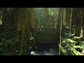 Bali in 8k ULTRA HD HDR -  Paradise of Asia (60 FPS)