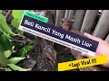 Download Lagu Ternak Kancil Yang Masih Liar | Ternyata Di Pulau ini banyak Kancil \u0026 Napo