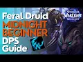 Feral Druid Midnight Season 1 Beginner Raid M Guide