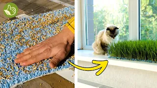 Genius Garden Hack: Incredibly inventive plant growing techniques 🥬