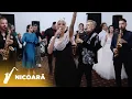 Download Lagu Claudia Puican si Petrica Nicoara - Colaj Hore de nunta - 2022
