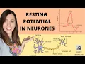 Download Lagu Establishing a RESTING POTENTIAL in a neurone- Do you know what the resting potential is?