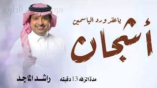 زفة ياعقد ورد الياسمين   زفة باسم اشجان فقط   راشد الماجد زفات      بدون موسيقى بدون حقوق  دندنها