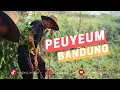 Download Lagu PEUYEUM BANDUNG PAK DADAN