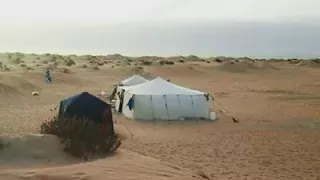 سيداتي ولد ابا 