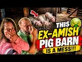This EX-Amish Pig Barn is a MESS - ep 3
