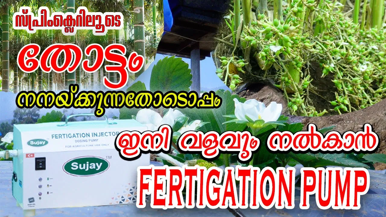സ്പ്രിംക്ലെറിലൂടെ തോട്ടം നനയ്ക്കുന്നതോടൊപ്പം വളവും നൽകാൻ | Fertigation Pump for fertizer supply