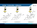 Download Lagu Duchenne Festival – Alles wat je wilde weten over corticosteroïden met Dr. Niks